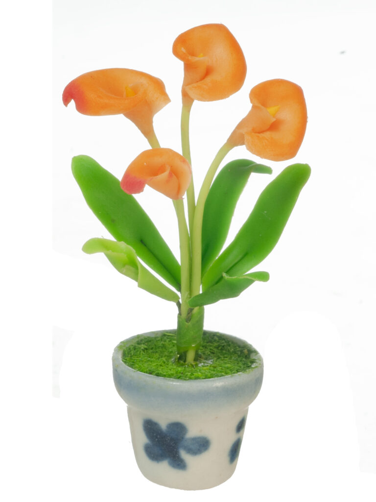 ANTHURIUMS IN POT/ORANGE
