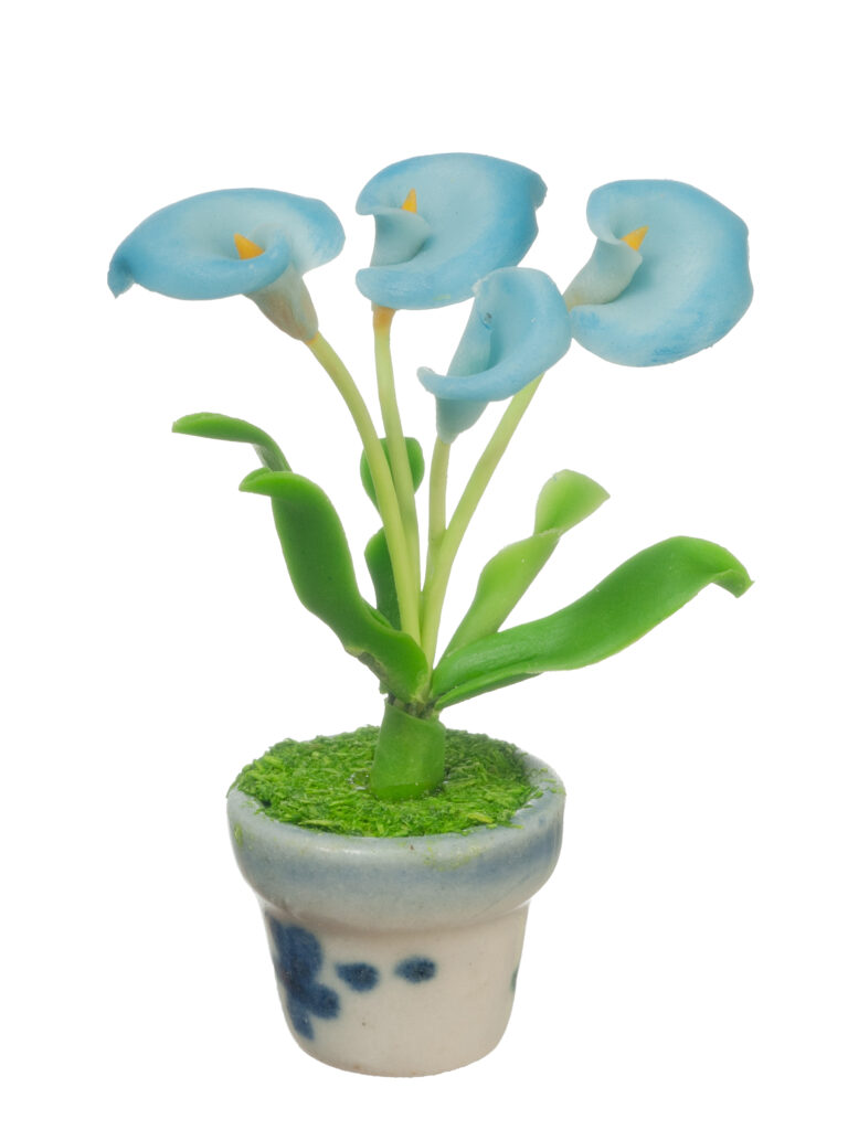ANTHURIUMS IN POT/BLUE