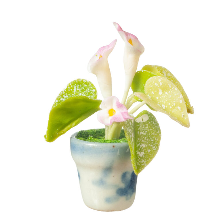 CALLA LILY/WHITE/PINK