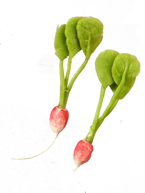 HOME GROWN RADISH/SET/2