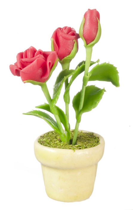 ROSES IN POT/RED