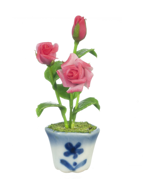 ROSES IN POT/PINK
