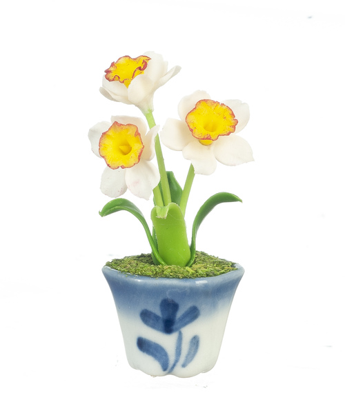 DAFFODILS IN POT/YEL/WHT