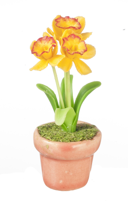 DAFFODILS IN POT/PEACH