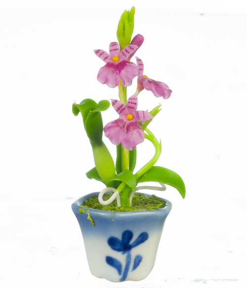 ONCIDIUM ORCHID/LAVENDER