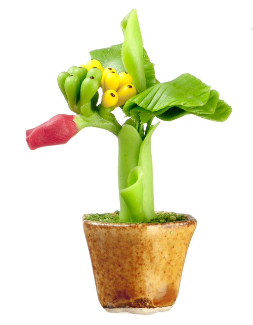 BANANA PLANTS