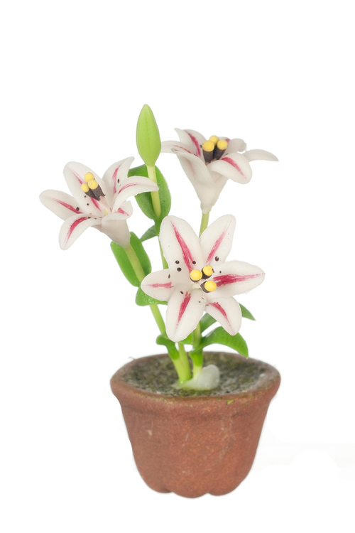 LILIES/WHITE/RED STRIPE