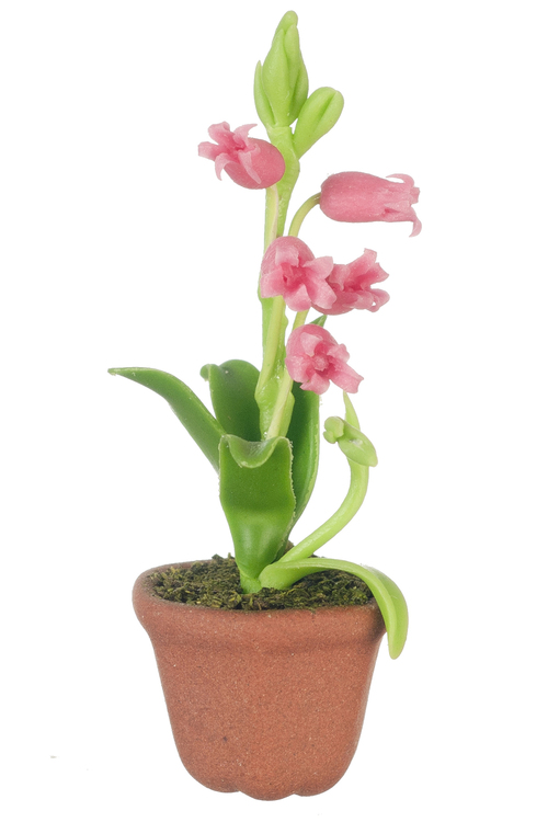 LILIES IN POT/PINK