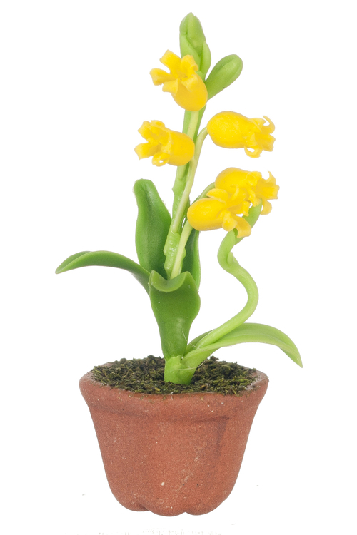 LILIES IN POT/YELLOW