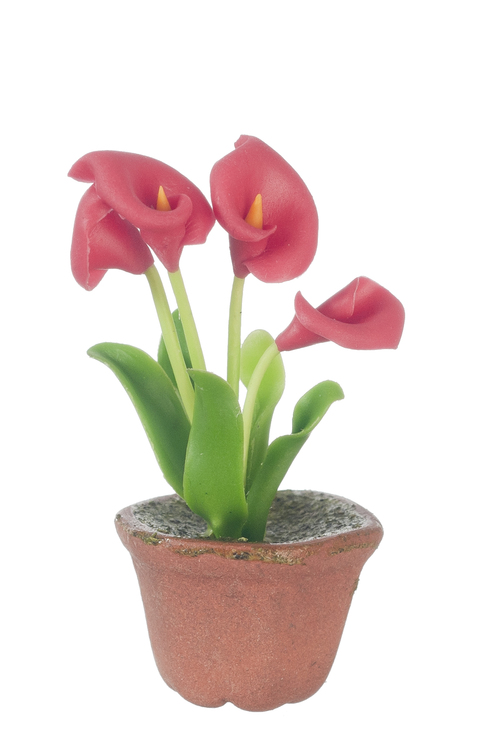 ANTHURIUM IN POT/RED