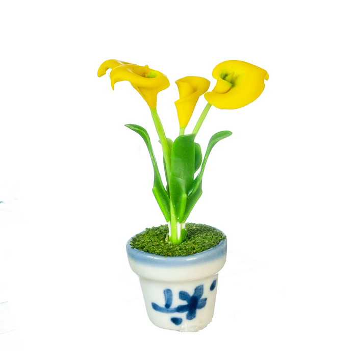ANTHURIUM IN POT/YELLOW