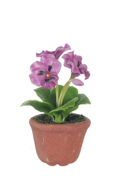 PANSIES IN POT/CRIMSON