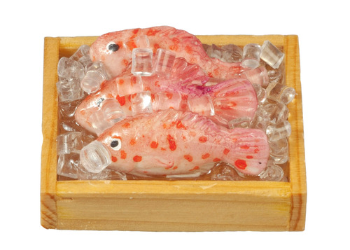 FRESH FISH ON ICE