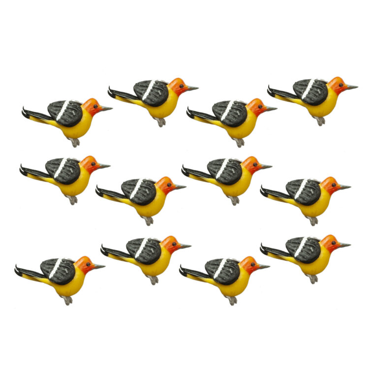 WESTERN TANAGER/12 PCS