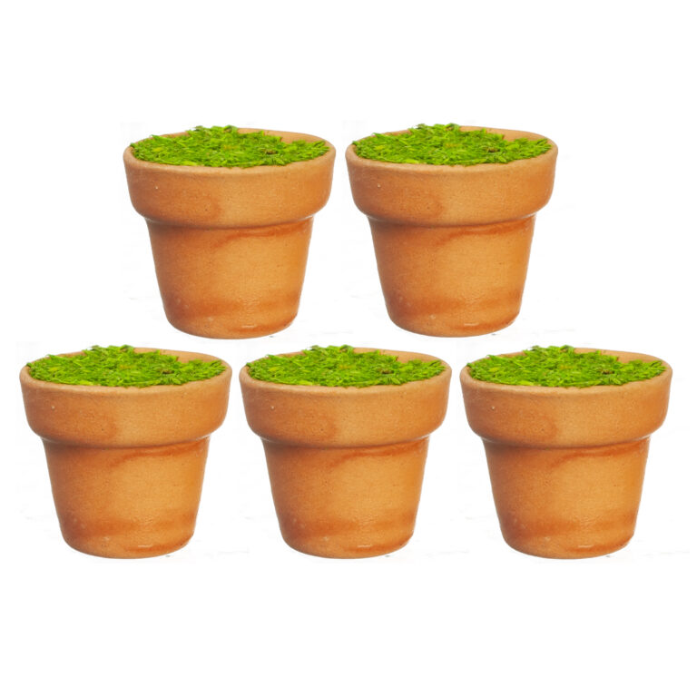 BRN.CERAMIC POTS/FILLED/5