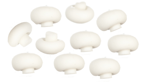 MUSHROOMS/10pcs
