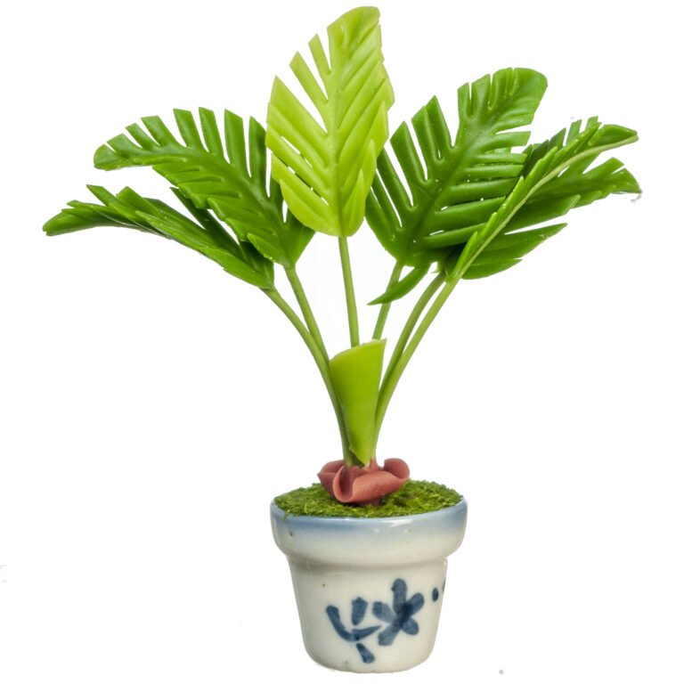 PALM TREE PLANT