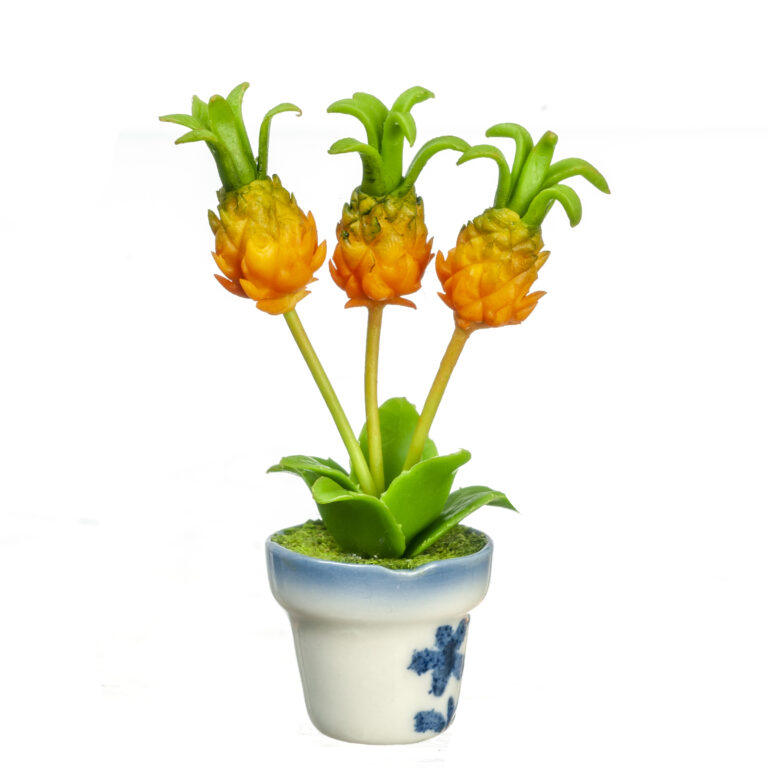 PINEAPPLE PLANT