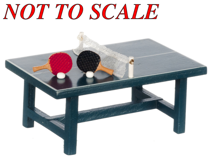 PingPongTblwPaddles2`x3`