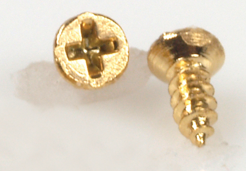 SMALL BRASS SCREWS/20pcs