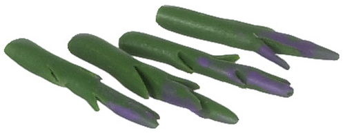 ASPARAGUS/4pcs