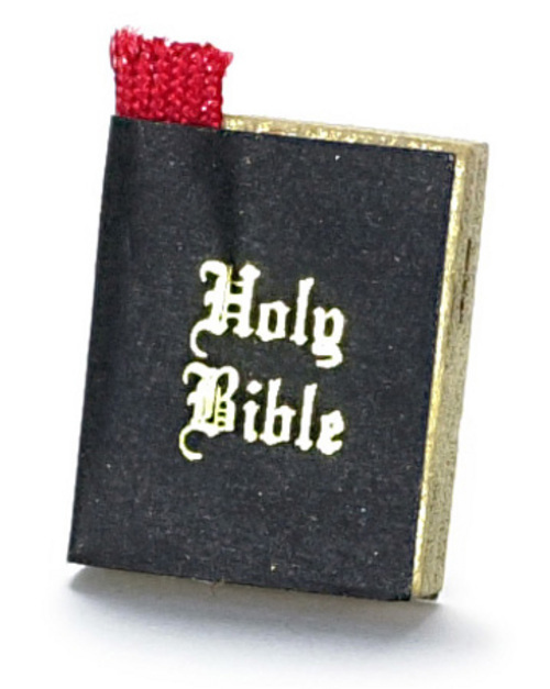 1in BIBLE