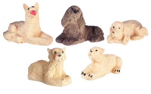 DOGS/ASSORTED