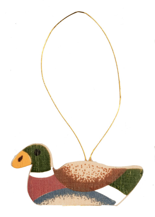 FLATBACK DUCK