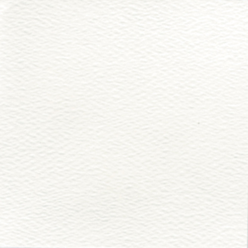 W.P.CEILING WHITE/3