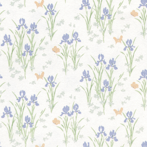 W.P.MINI IRIS/LILAC/3
