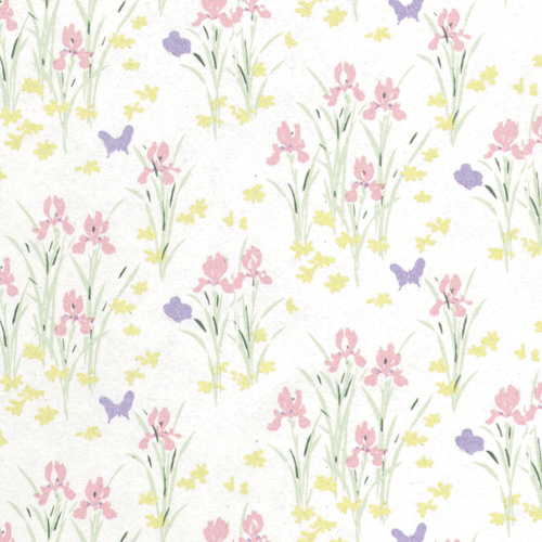 W.P.MINI IRIS/PINK/3
