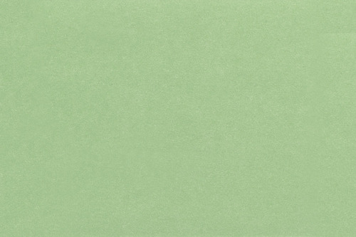 W.P.FRENCH BOUQ/CELERY/3