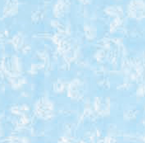 W.P.TIFFANY REVERSE/BLU/3