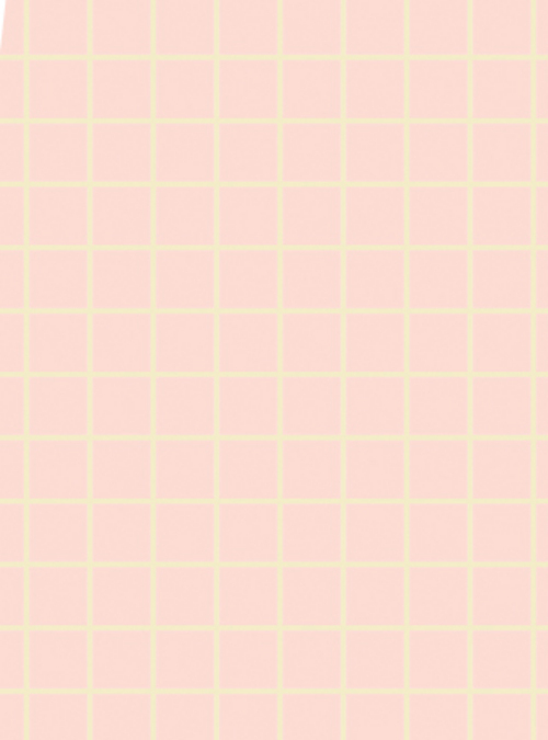 NO WAX FLOOR/PINK CHECK