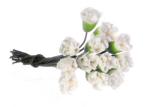 MINI CARNATIONS/12/WHITE