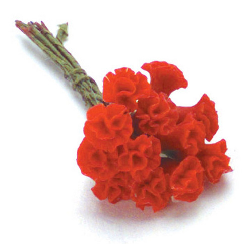LARGE CARNATIONS/12/RED