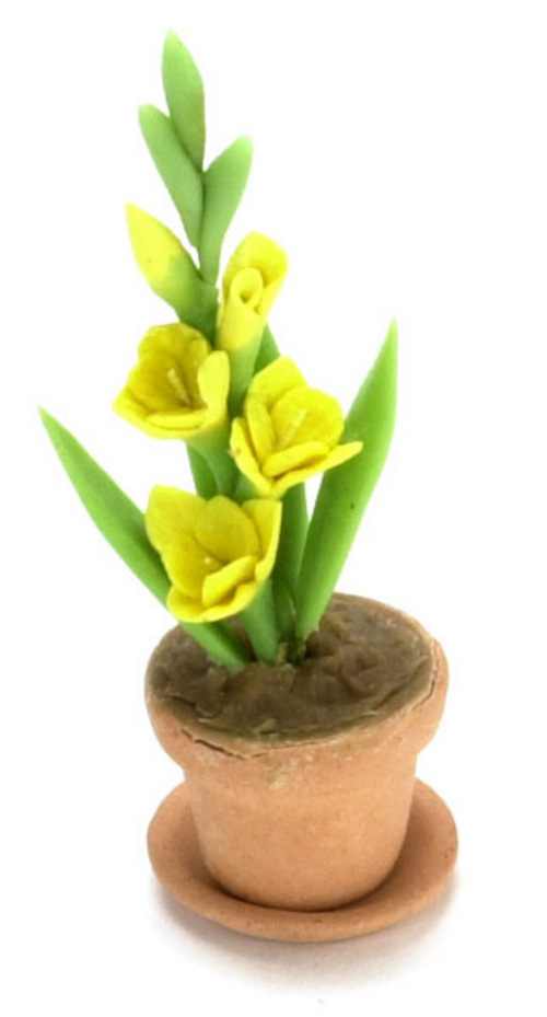 GLADIOLUS/CLAY POT/YELLOW