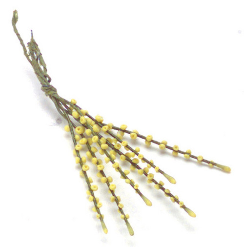 LUPINUS/6 STEMS/YELLOW