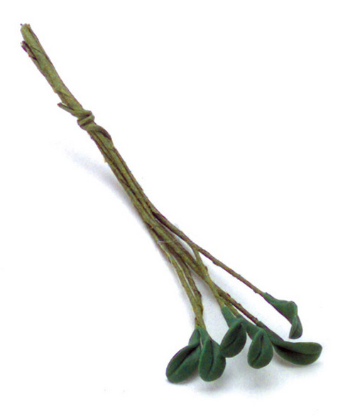 SINGLE CURLED LEAVES/6