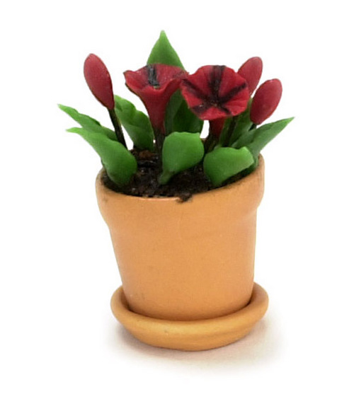 PETUNIAS IN POT/RED/BLACK