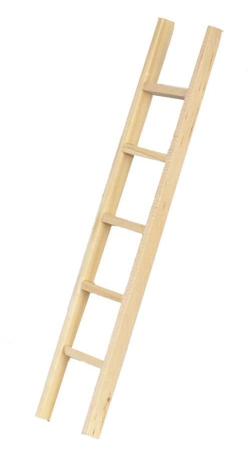6in STRAIGHT LADDER