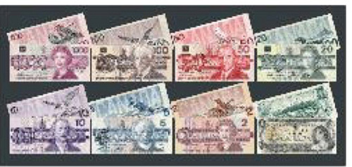 CANADIAN MONEY/24pcs