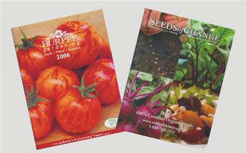 SEED CATALOG SET/2